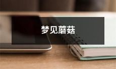 在梦中遇见神奇的蘑菇的奇幻故事