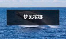 栩栩如生的场景！我在梦里看到了充满热带气息的槟榔树林，感受到了槟榔果香扑鼻，仿佛身临其境！