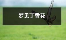 梦境中的浪漫丁香花：心灵的美丽幻想与神秘感官体验