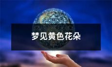 梦中缘起：探索黄色花朵的象征意义与潜在启示