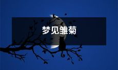 在我睡梦中，我经历了奇异的梦境，梦见了无尽绵延的田野上盛开的雏菊海洋，青青翠翠，又清雅又引人遐思