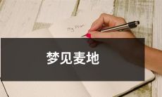 在如诗如画的梦境中游荡:探索神秘的麦地,触感细腻的麦穗和柔和的晨曦,感受人生中的美好瞬间!