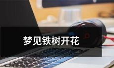 做梦见铁树开花,不可思议的奇迹:树木奇迹般的开花,启示我们对自然奇妙的敬畏