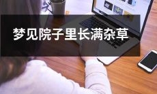 梦见自己的院子里长满了茂盛且茂密的杂草，不由得感叹生命力的无穷韵味！