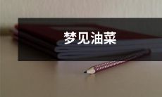 田野里一朵朵绵延无尽的金黄色花海——我梦见了油菜花田！