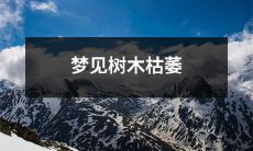 当我梦见周围的树木都已经枯萎，仿佛生命不复存在的景象