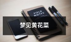 在梦中眺望旷野，意外发现了一朵绚烂的黄花菜：别样神秘与美妙的梦幻体验