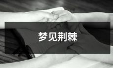 缠绕在脚下的荆棘，花海中的异样梦境：我在梦中遇见了荆棘所象征的意义