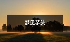 我做了一个奇幻梦，梦见了一大堆鲜美的芋头，这真是太神奇了！