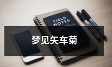 在夜幕悄然降临的梦境中遇见璀璨夺目的矢车菊之花：一场奇妙的梦幻之旅