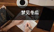 在梦中遇见冬瓜:一段奇幻的心灵启示之旅