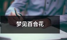 在梦中观赏绚烂多彩的百合花：描述一个美丽的梦中体验