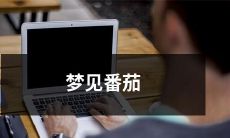 亲身经历：夜梦中与番茄结缘，探究植物之美、人生意义与自我认知的灵魂独白