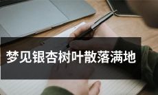 做梦时目睹银杏树掉落满地树叶的梦境体验