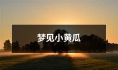 在梦中遇见小黄瓜的奇幻体验