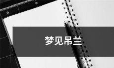 梦见在温暖的阳光下生长茁壮的吊兰，情感充盈、生机勃发的美好梦境