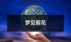 梦中见到仿真花，我好像忽略了这些花却又感到困惑失落的情感