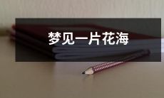 沉浸在浪漫的自然景观之中：我梦见漫天绚烂花朵构成的无边花海！