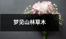 在醒来前的那一刻，脑海里闪现的神奇景象——梦见茂密的山林、清澈的流水、繁茂的草木和鸟儿的欢鸣声