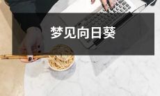 在还未觉醒的晨曦中，我在梦里遇见了瞪着温暖目光的向日葵花朵，别有一番滋味萦绕心头