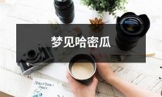 主角的梦中遇见哈密瓜，经历了奇幻的冒险之旅！