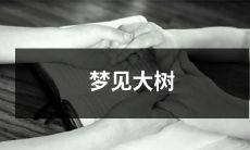 在梦中看到高大的参天树木,树干向天空伸展,枝叶繁茂的生机勃勃景象