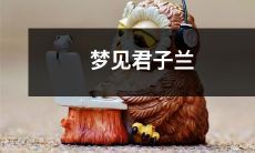 姑娘梦见散发馥郁芳香的君子兰，带着清新之气的精神符号与预示的心理暗示