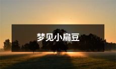 在梦中遇到小扁豆:探讨植物梦境的隐含意义与心理象征