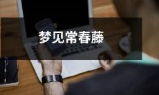 在梦中看见盘绕的常春藤植物：关于梦境和自我意识的阐释和解读