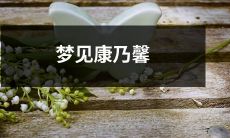 在梦中看到了粉色康乃馨：一段令人感动的夜之旅程