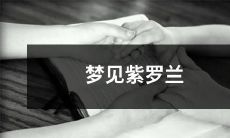 在梦中看到美丽的紫罗兰花朵,带来深刻的内心体验与启示