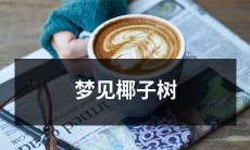 在美丽的夜晚里，我经历了梦幻般的旅程：沐浴在闪烁着璀璨星光的热带夜晚，眼前突然冒出一棵高耸的椰子树，遥望其顶，岛上的霓虹灯光闪耀着华丽耀眼的光芒，这一刹那，我仿佛来到了热带水域的第八大奇迹，并陷入了沉醉其中！