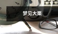 纷落枝头的巨大栗子，如梦幻般萦绕心间的美妙想象