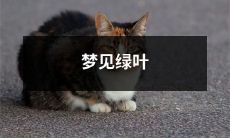 在梦中看到豆绿嫩叶舒展开来的亲身体验述说:梦见绿叶的生动描绘