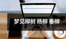 在梦中观赏优美的景象:饱览柳树、杨柳和垂柳的生机盎然之美