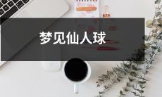 沉醉在惊奇中：我竟梦见了华美神秘的仙人球！