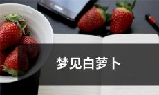 在梦境中看到了洁白无瑕的纤细萝卜，一场令人难忘的梦想之旅