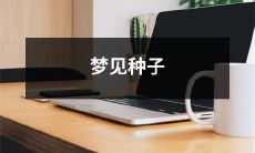 在梦中遗落的种子，意外撒播的荒野之梦：一个寓意深刻的梦境故事