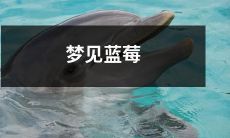 的田野，闻到了清新的果香，感受到了自然的美好——我在梦中的蓝莓奇遇记