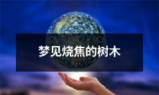 睡眠中窥见黑烟弥漫的景象：我在梦中目睹烧焦的树木