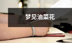 在黄金田野上沉醉：我做了一个美妙的油菜花之梦