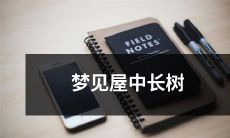 如何解读梦见自己所在的房屋内长满树木的梦境？