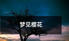 缤纷绽放的樱花缭绕梦境：戏谑春光中的美妙幻象