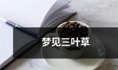 在梦中遇见了一朵幸运的三叶草：一个充满奇幻色彩的梦境体验！