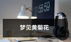 做梦时看到满地黄色的菊花盛放,花瓣绽放出绚烂缤纷的光芒