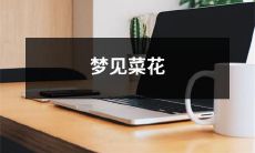 在梦中看到了绚烂绽放的菜花,那份惊艳与惊喜令人难以忘怀