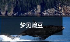 的一生：从萌芽到成熟的探索历程