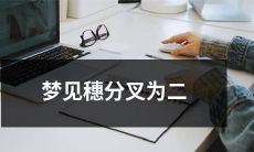 梦见自己的加密货币穗经历了分叉，分裂成了两个不同的区块链网络的梦境