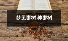 在梦中,亲眼目睹了种植枣树的情景-梦见如何在枣树的世界里种枣树