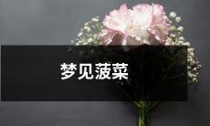 在睡梦中探寻着健康与富足的象征——梦见色泽翠绿、创意无限的菠菜